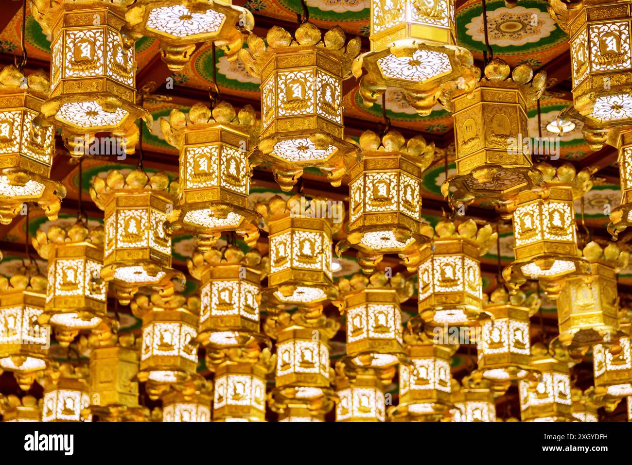 Tradizionali lanterne orientali cinesi a soffitto dorato in un tempio buddista. Foto Stock