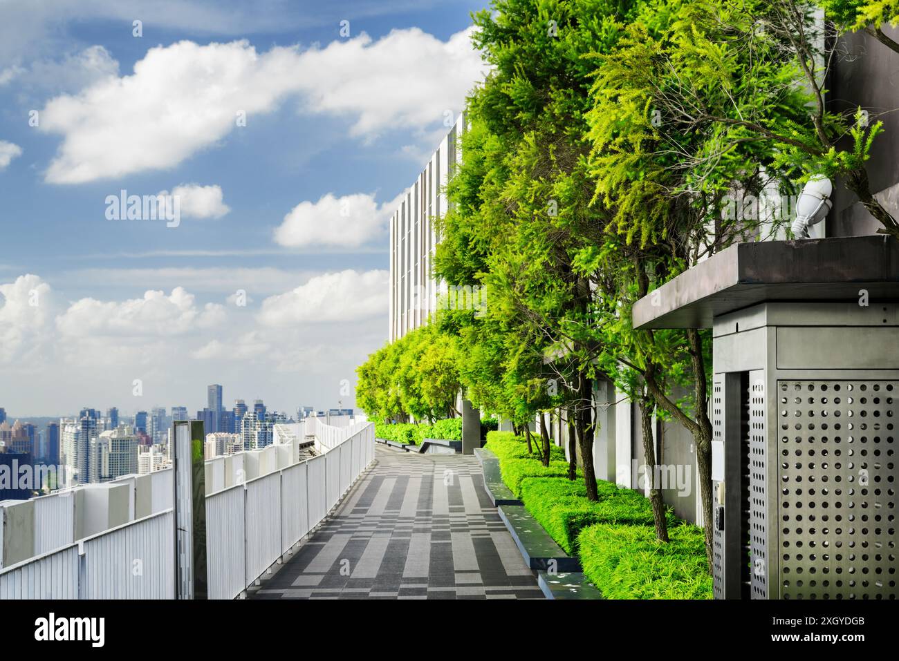 Bellissimo giardino sul tetto. Terrazza all'aperto con splendida vista sul parco e sulla città. Panchine moderne sotto alberi verdi lungo la passerella. Foto Stock