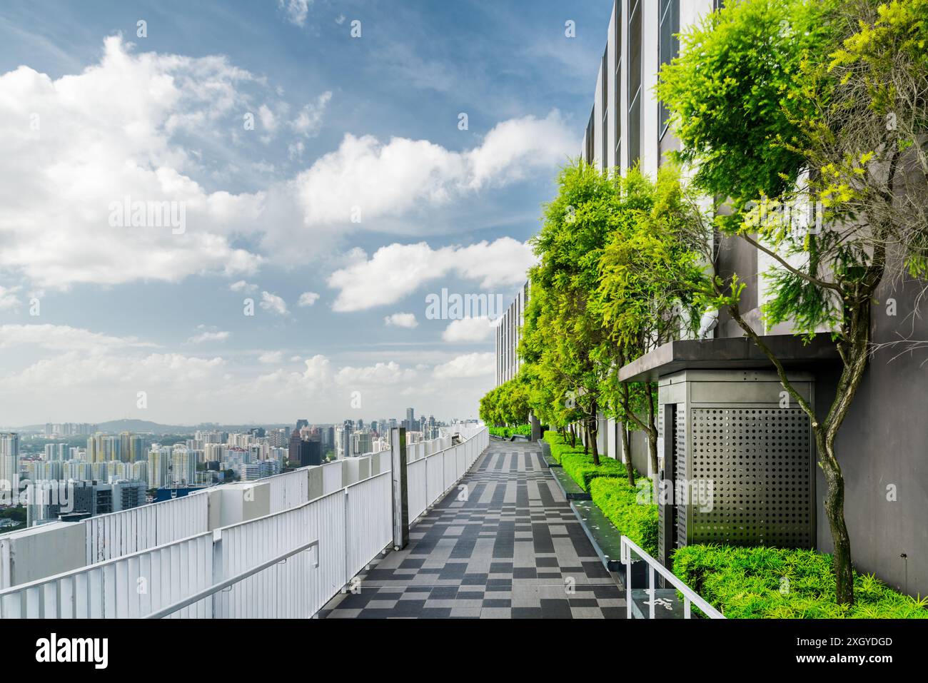 Bellissimo giardino sul tetto. Terrazza panoramica all'aperto con parco e splendida vista sulla città. Panchine moderne sotto alberi verdi lungo la passerella. Foto Stock