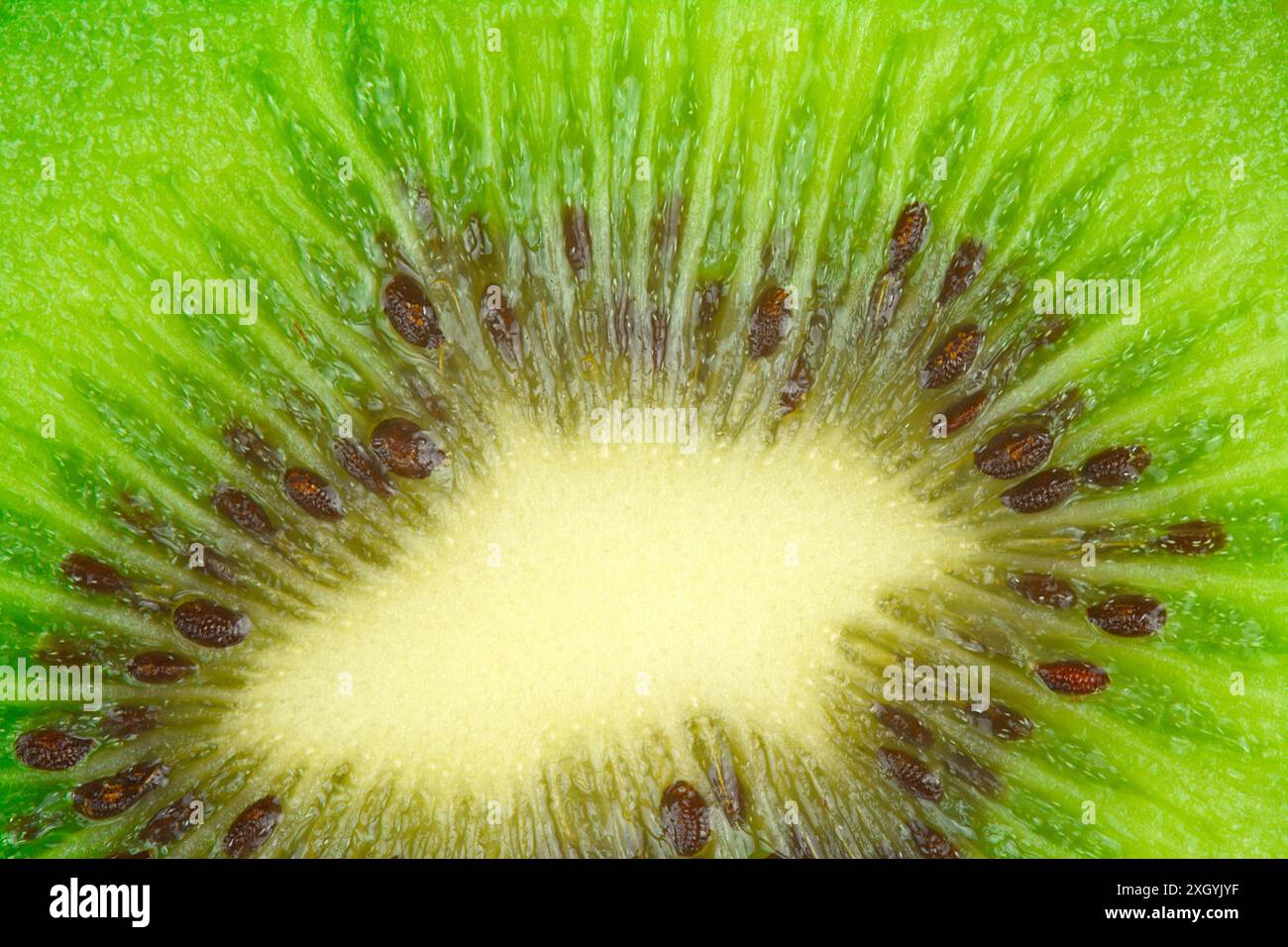 Close up di kiwi Foto Stock