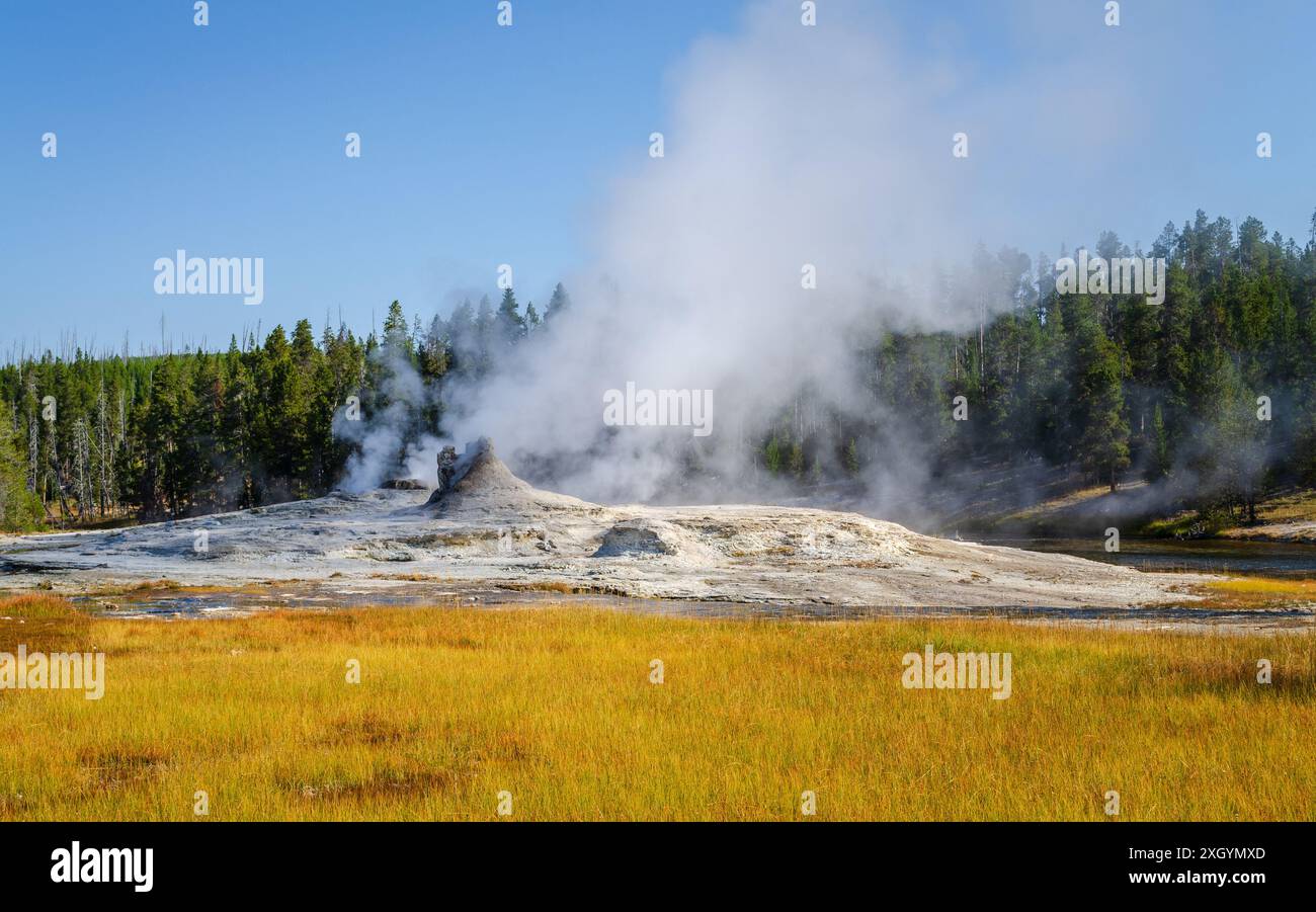 Il Giant Geyser al parco nazionale di Yellowstone Foto Stock