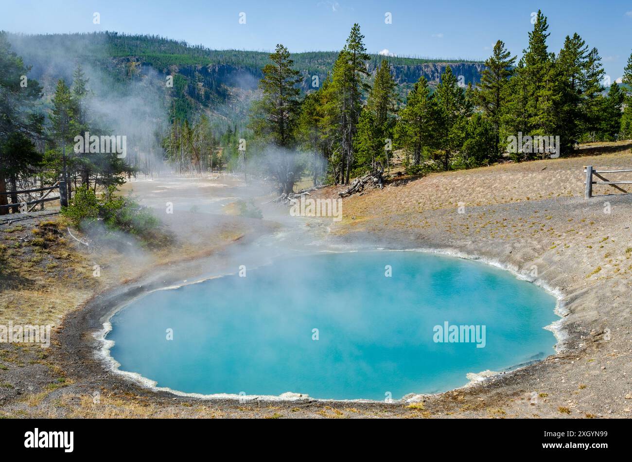 Il vapore si alza da una piscina turchese rotonda con un bordo minerale bianco, circondata da sintere marrone chiaro, al Black Sand Basin, Parco Nazionale di Yellowstone, Wyoming. Foto Stock