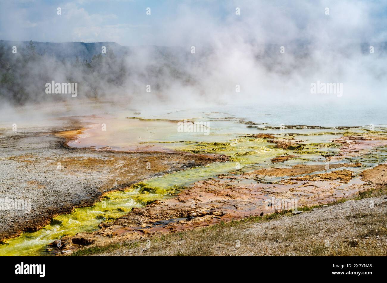 Il peccatore bianco ricco di silice sul terreno presso le acque idrotermali del parco nazionale di Yellowstone presso il Midway Geyser Basin Foto Stock