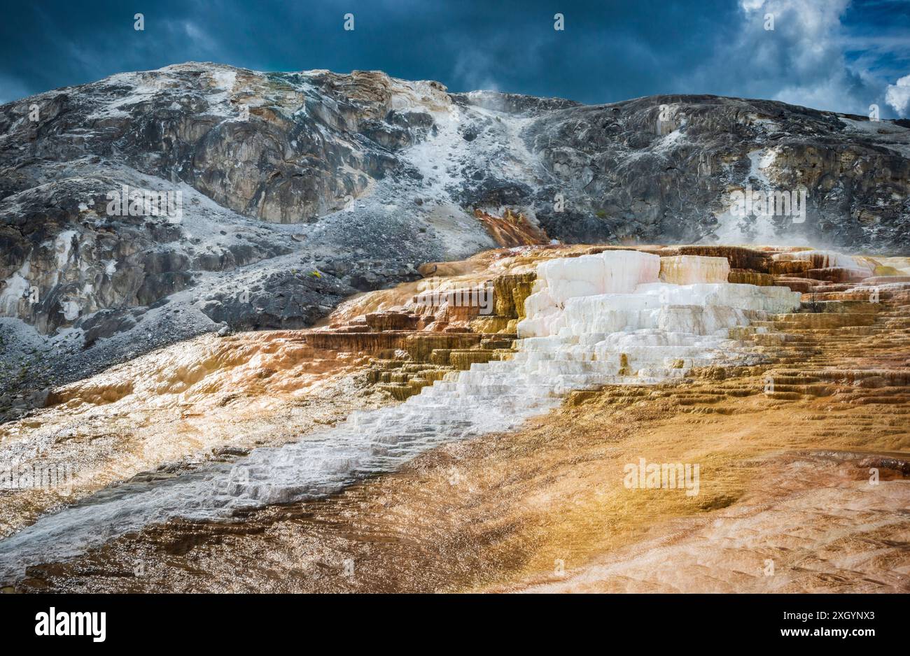 The Mound Spring and Jupiter Terrace, Mammoth Hot Springs, Yellowstone National Park, Wyoming, Stati Uniti d'America Foto Stock