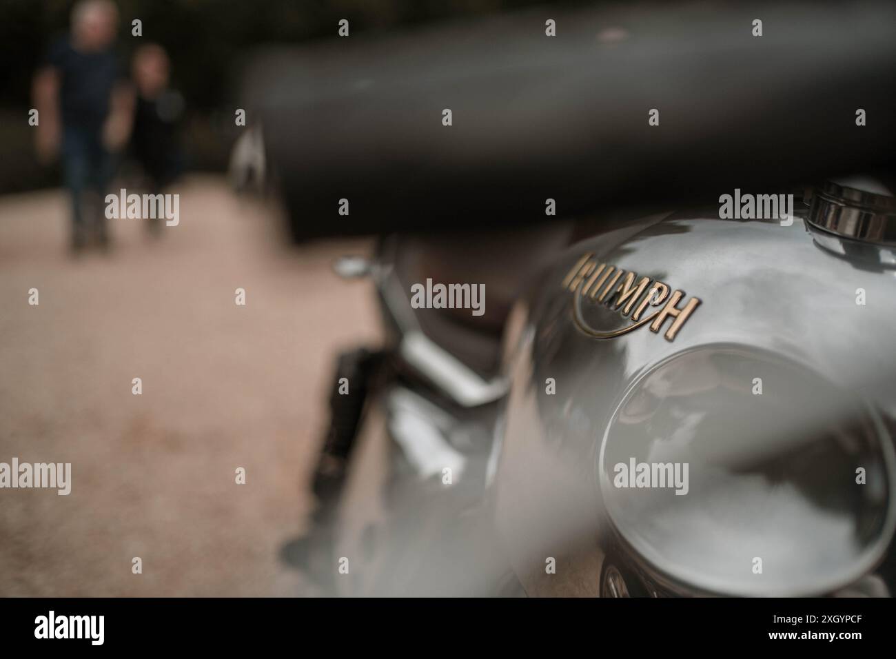 Serbatoio di benzina di una moto Triumph Bonneville con il logo Triumph. Foto Stock