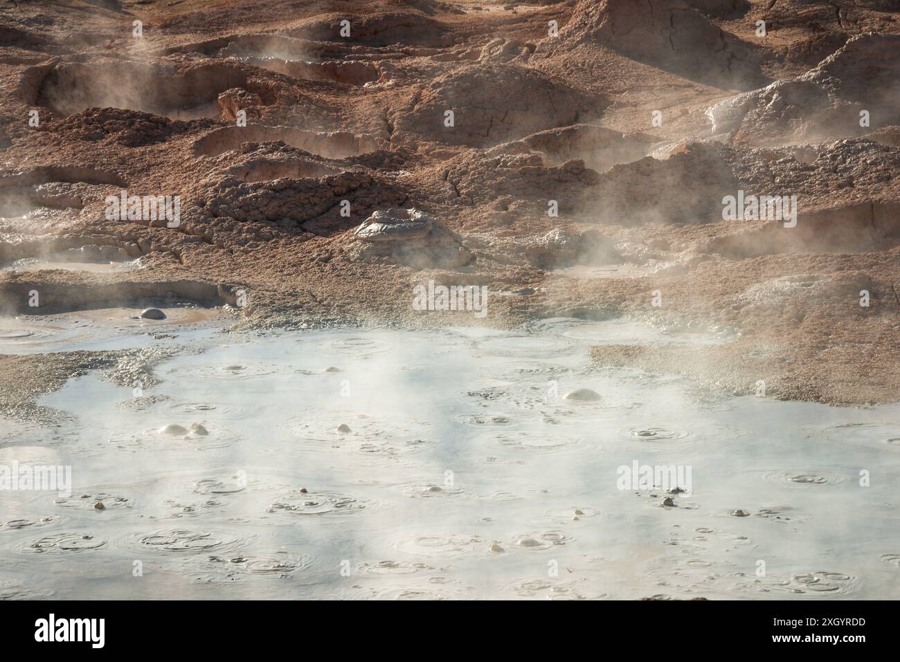 Fountain Paint Pot al Lower Geyser Basin, Mudpots, al Yellowstone National Park, Wyoming Foto Stock