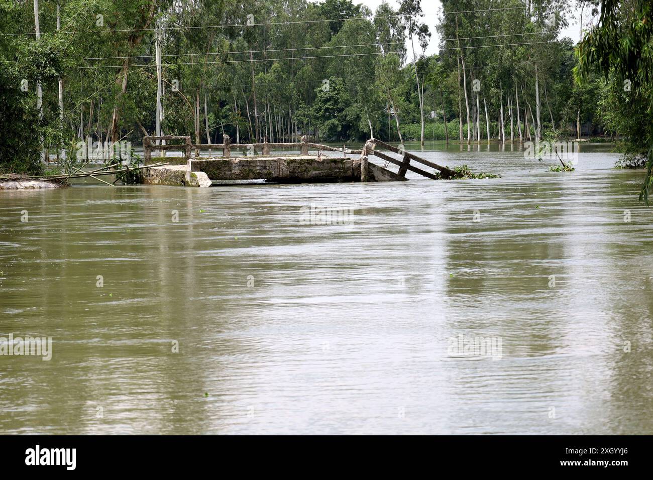 11 luglio 2024, Kurigram, Kurigram, Bangladesh: La strada e il ponte crollarono nel villaggio di Jatrapur nel distretto di Kurigram a causa del forte flusso di acqua inondata. Il fiume Dharla, nel distretto di Kurigram, in Bangladesh, ha allagato tutte le case e le strade nelle zone basse, mentre l'acqua ha attraversato il livello di pericolo. Quasi due persone lakh di 400 villaggi di 55 sindacati di 9 upazilas del distretto di Kurigram vivono una vita miserabile a causa delle inondazioni per due settimane. Le inondazioni si sono verificate nel nord del Bangladesh con l'aumento del livello dell'acqua nei fiumi a causa delle forti piogge a monte. La gente che vive in queste case l'ha presa Foto Stock