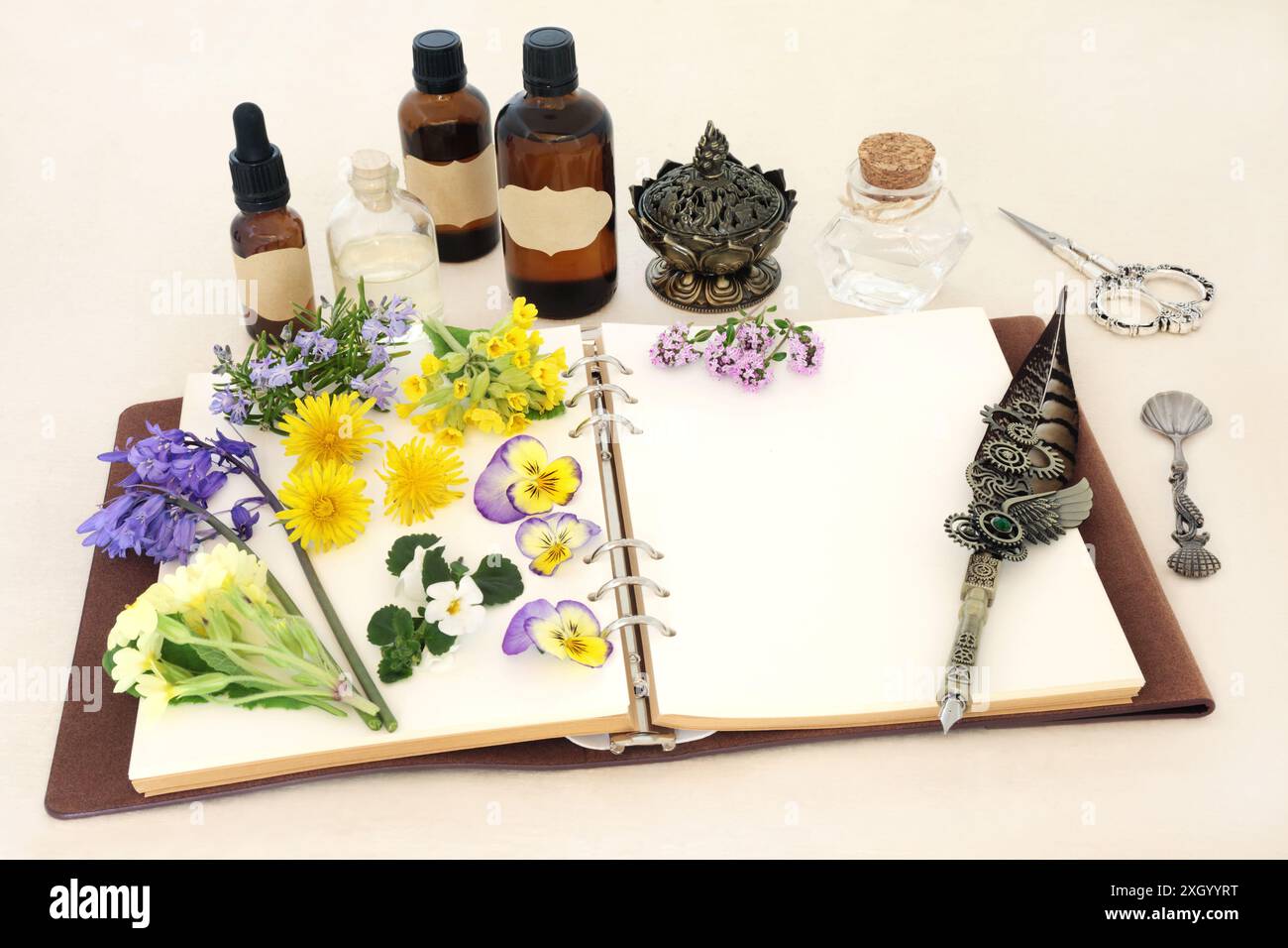 Fiori primaverili, erbe e fiori selvatici utilizzati nei rimedi naturali a base di erbe con taccuino e bottiglie di olio essenziale per essenze naturopatiche. Foto Stock