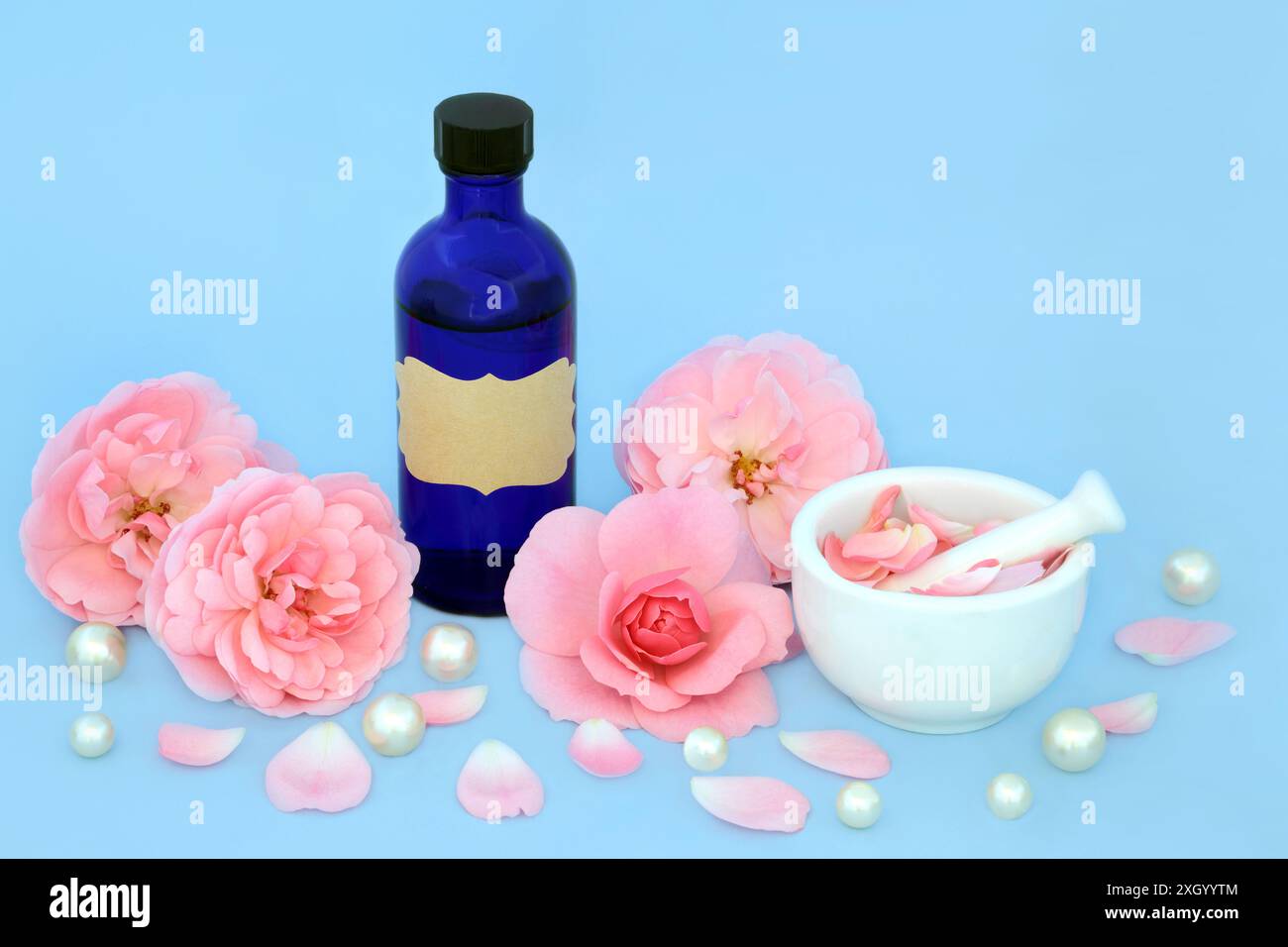 Aromaterapia di fiori di rosa preparazione di olio essenziale con fiori rosa e perle su blu. Medicina floreale alternativa naturale per il trattamento delle condizioni cutanee, Foto Stock