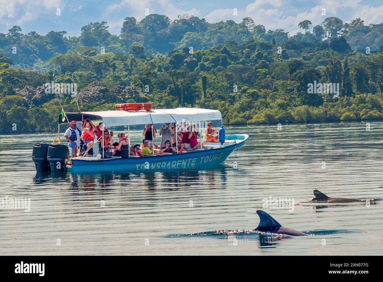 Panama, Archipielago de Bocas del Toro, i turisti vengono a vedere i delfini in una laguna a sud di Isla Christobal. Foto Stock