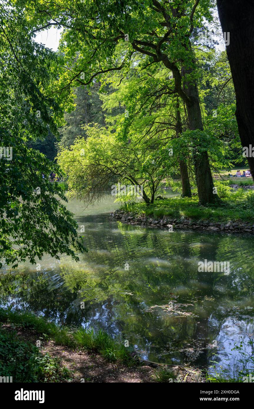 Piccolo lago in un parco, in un paesaggio verde con alberi Foto Stock