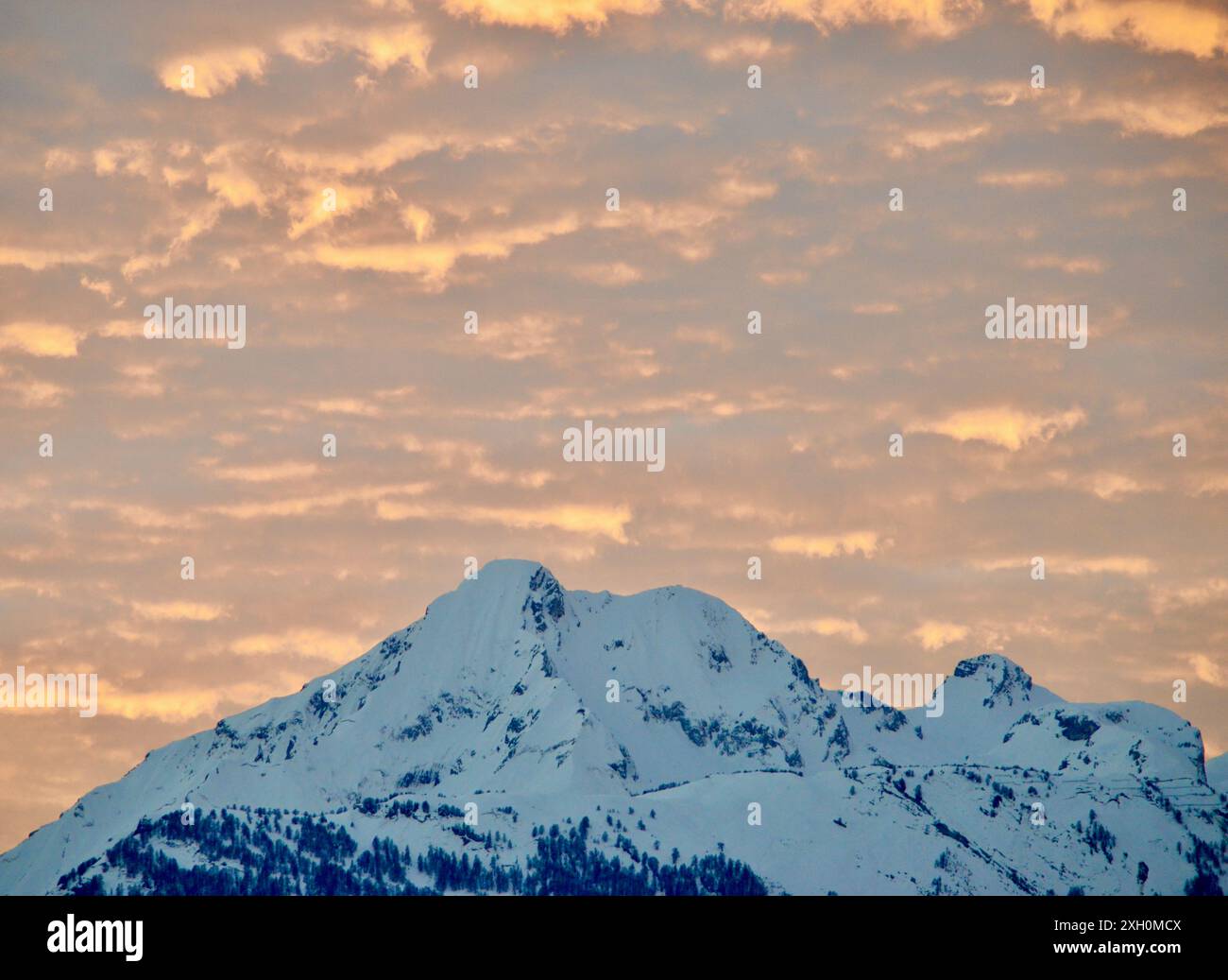 cabina, vacanze sulla neve, vacanze invernali nella foresta di alberi isolate Foto Stock