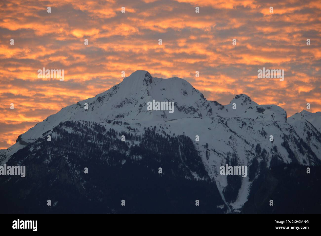 cabina, vacanze sulla neve, vacanze invernali nella foresta di alberi isolate Foto Stock