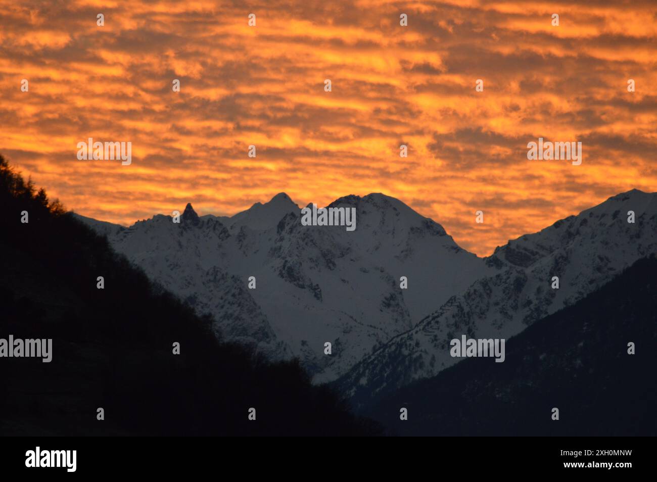 cabina, vacanze sulla neve, vacanze invernali nella foresta di alberi isolate Foto Stock