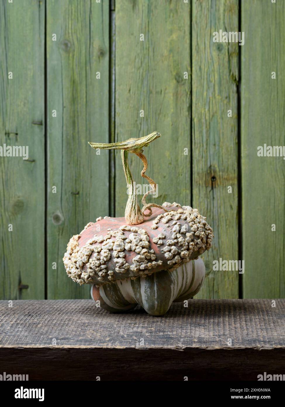 Squash turban sul tavolo su un vecchio tavolo in legno con sfondo verde e spazio copia Foto Stock