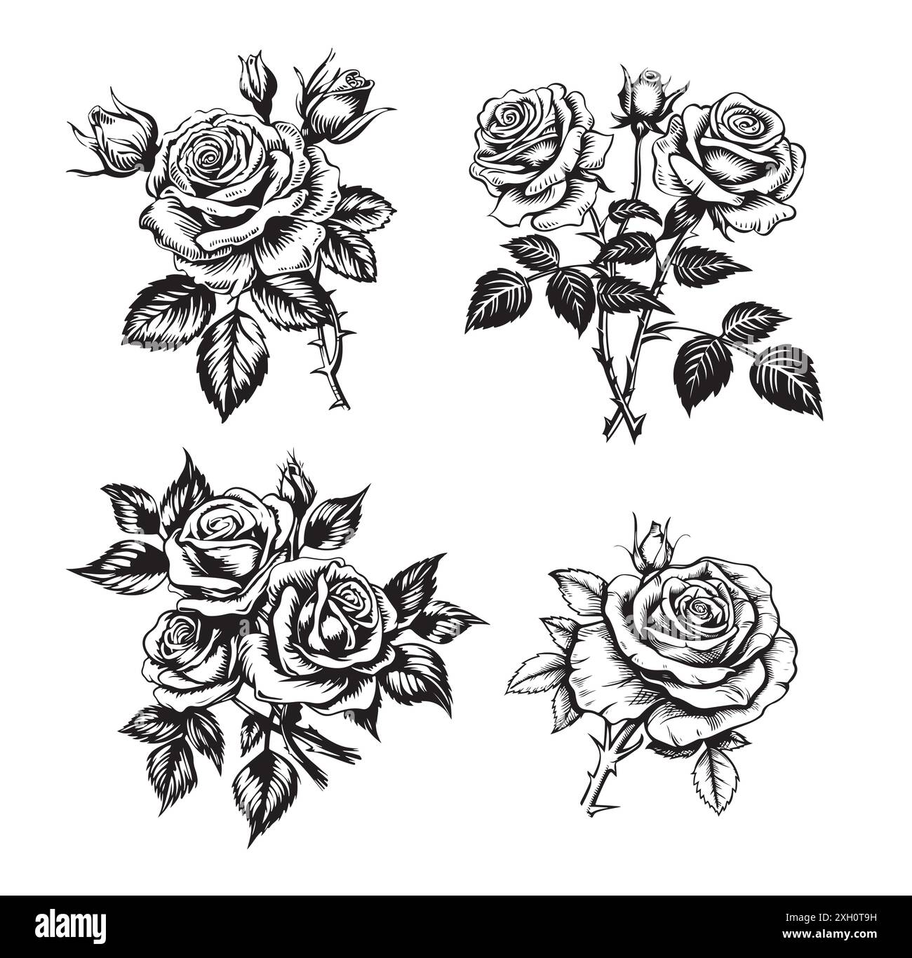 Set di fiori trafilati a mano, collezione di rose Illustrazione Vettoriale
