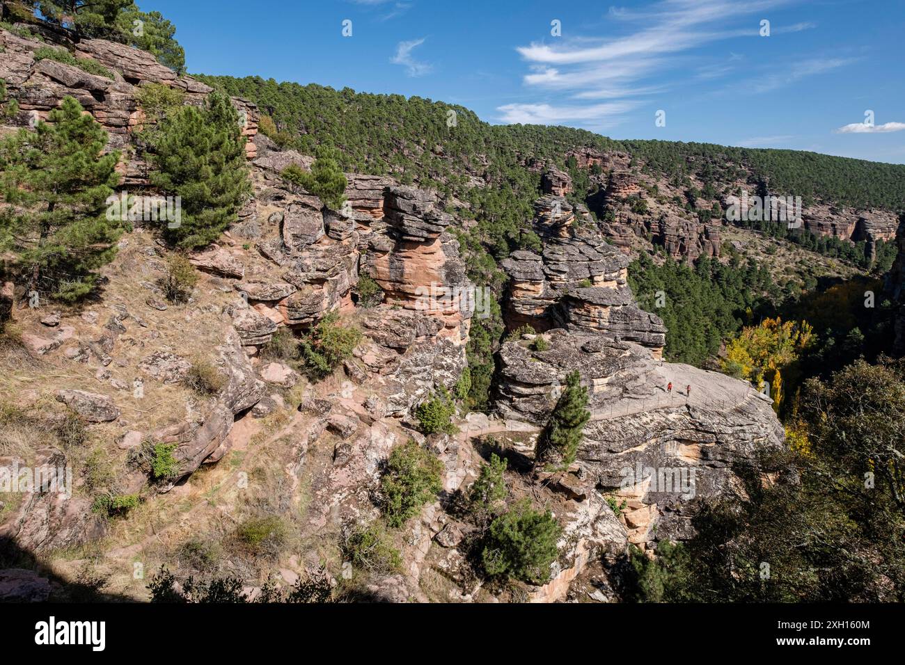 Barranco de la Hoz, parco naturale alto Tajo, provincia di Guadalajara, Spagna Foto Stock