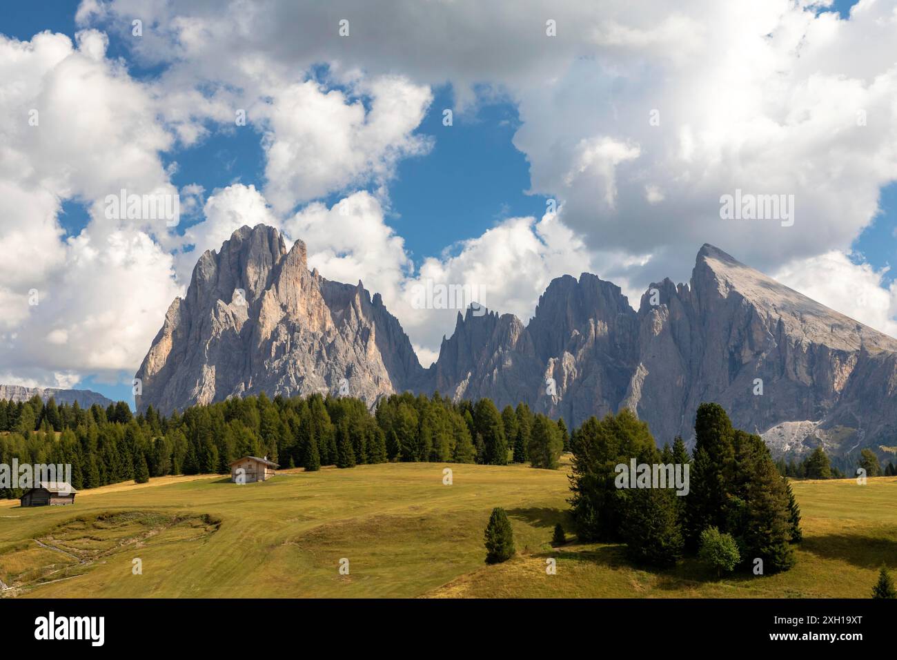 Vista sull'Alpe di Siusi, sull'Alpe di Siusi, su Langkofel e Plattkofel, alto Adige Foto Stock