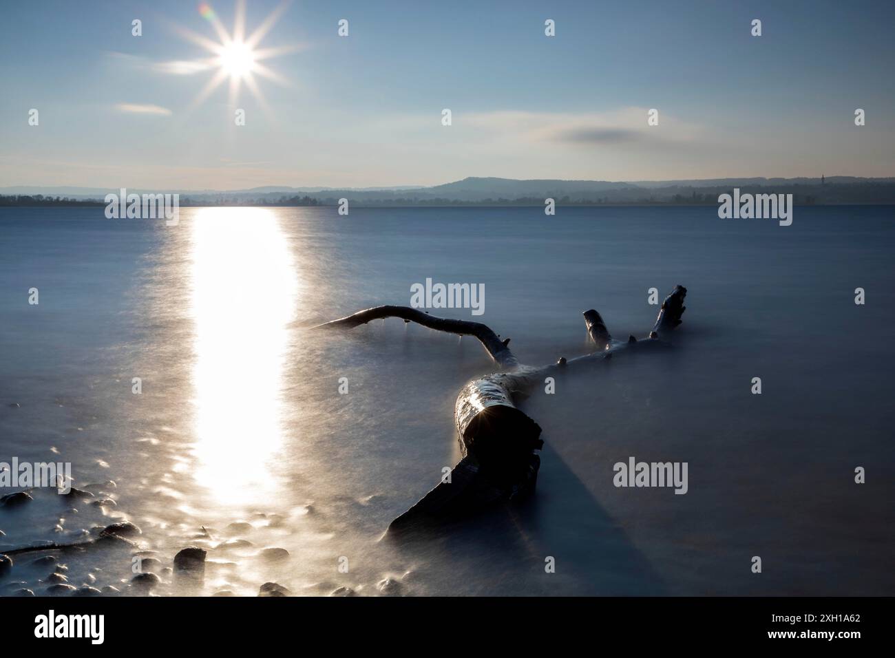 Pomeriggio nel tardo autunno al lago Ammer in Baviera Foto Stock