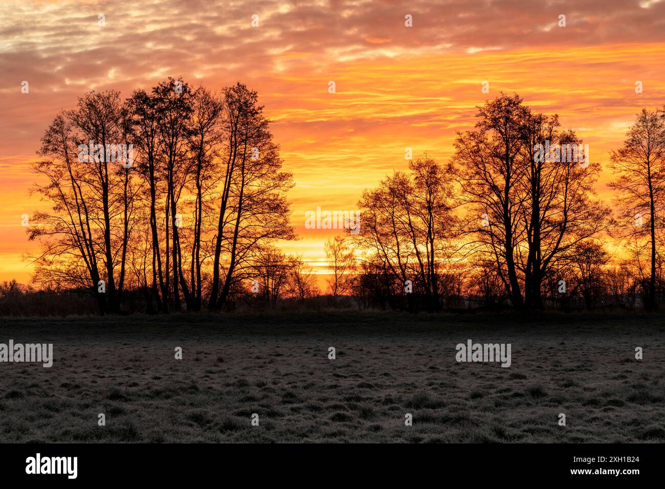 Alba su un campo in Baviera in inverno Foto Stock