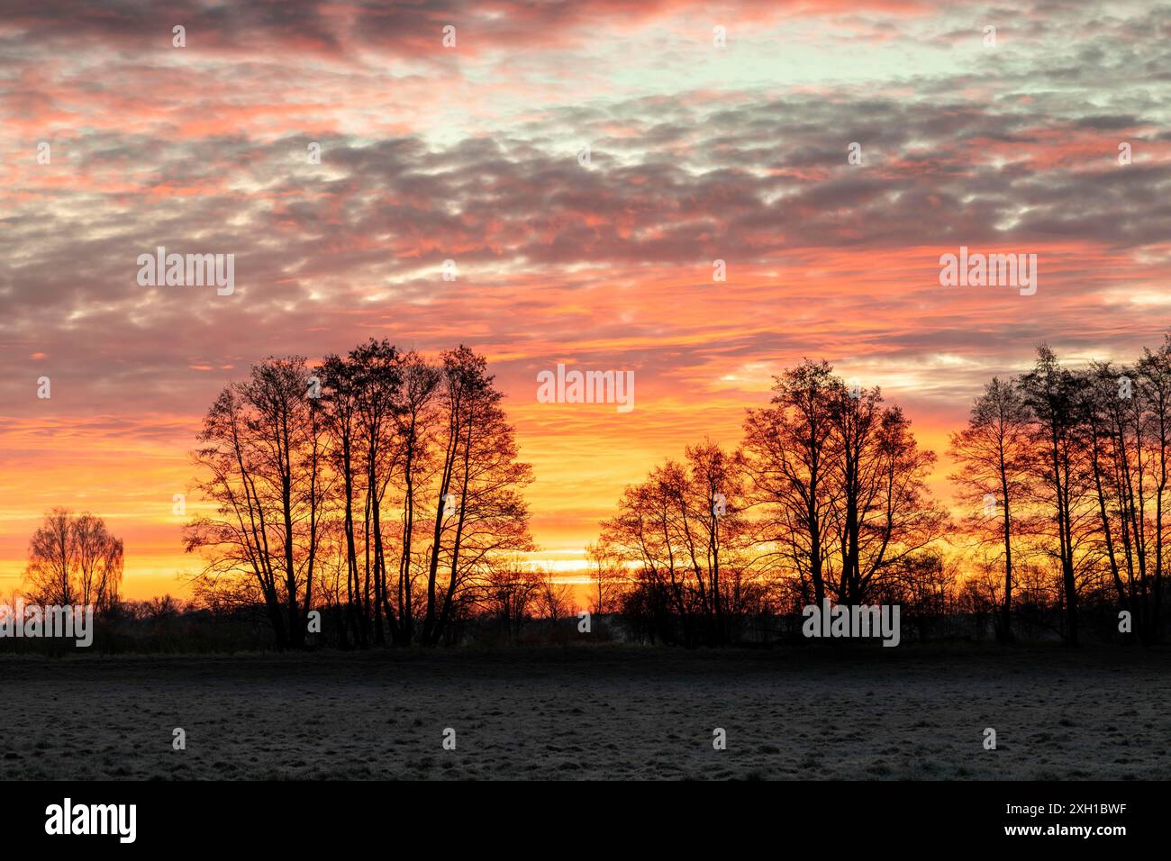 Alba su un campo in Baviera in inverno Foto Stock