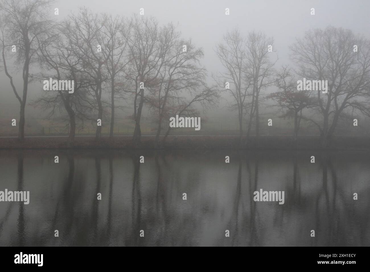 Nebbia autunnale nello stagno del villaggio Foto Stock