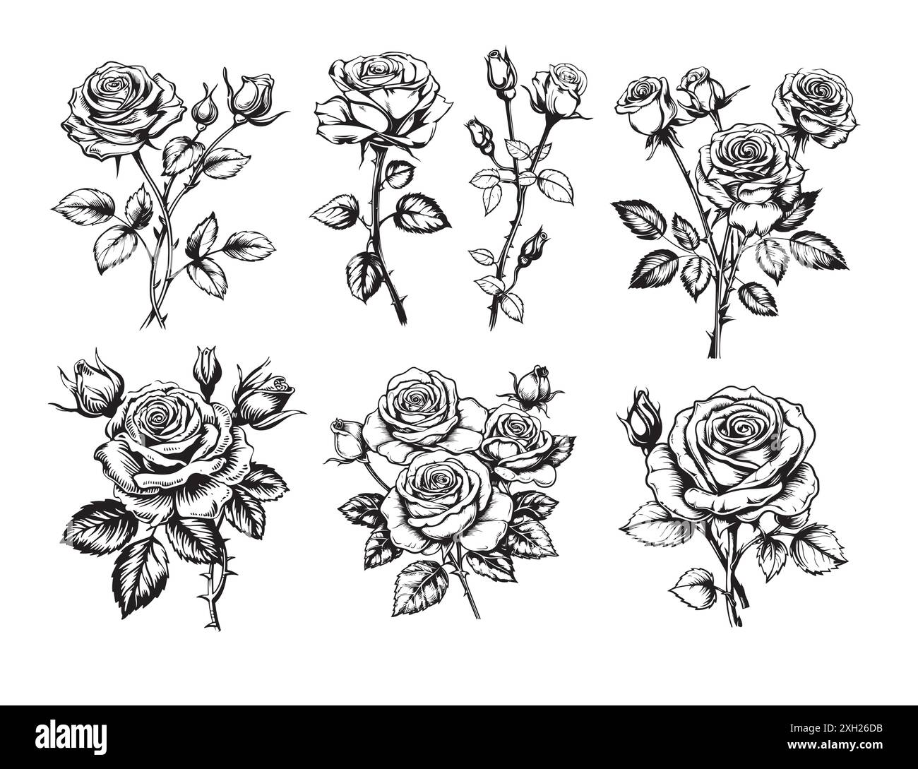 Set di fiori trafilati a mano, collezione di rose Illustrazione Vettoriale