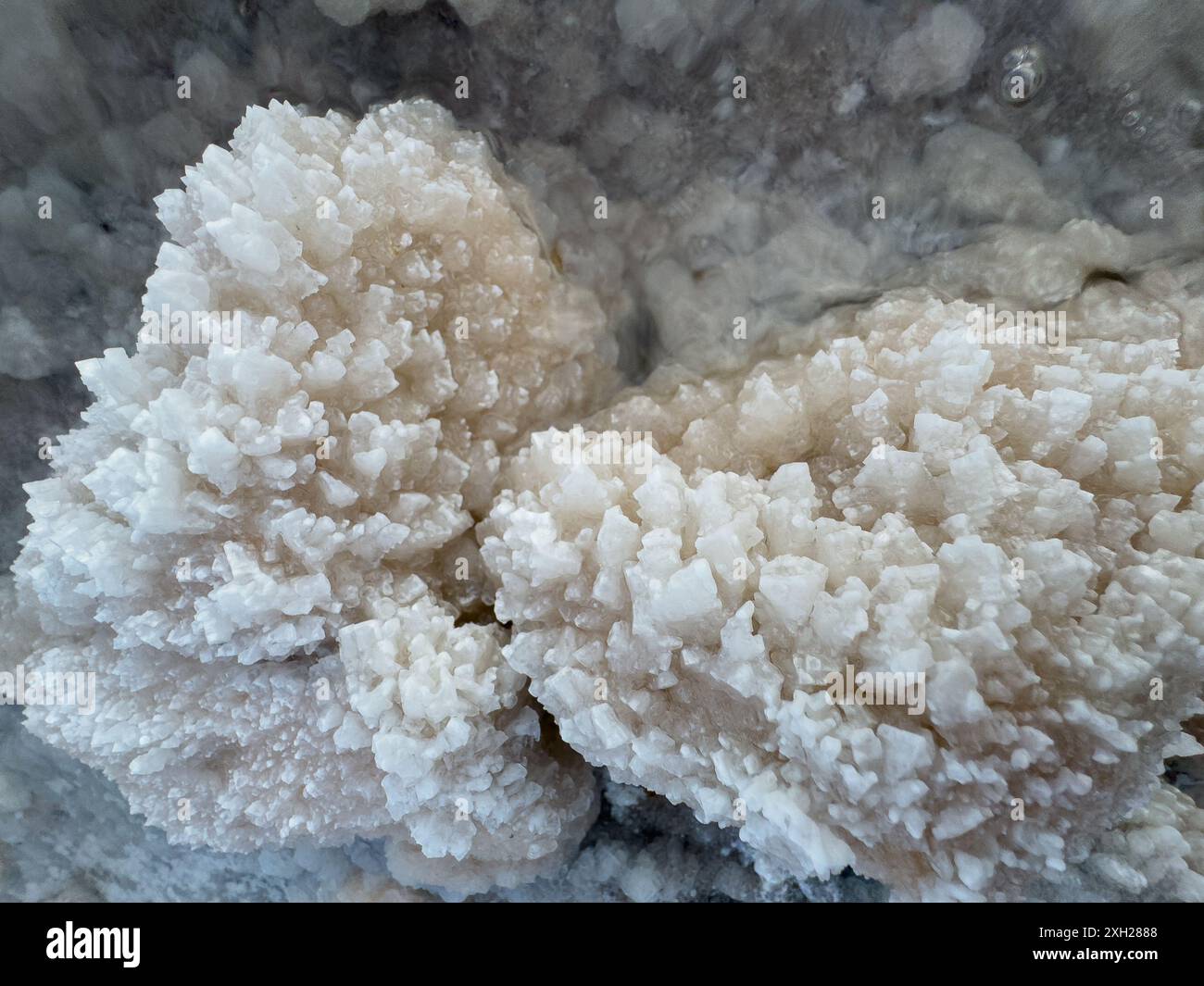 Foto ravvicinata dettagliata di cristalli di sale bianco naturale che si formano su una roccia. Le texture e le forme di cristallo mostrano la bellezza delle formazioni minerali naturali. Foto Stock