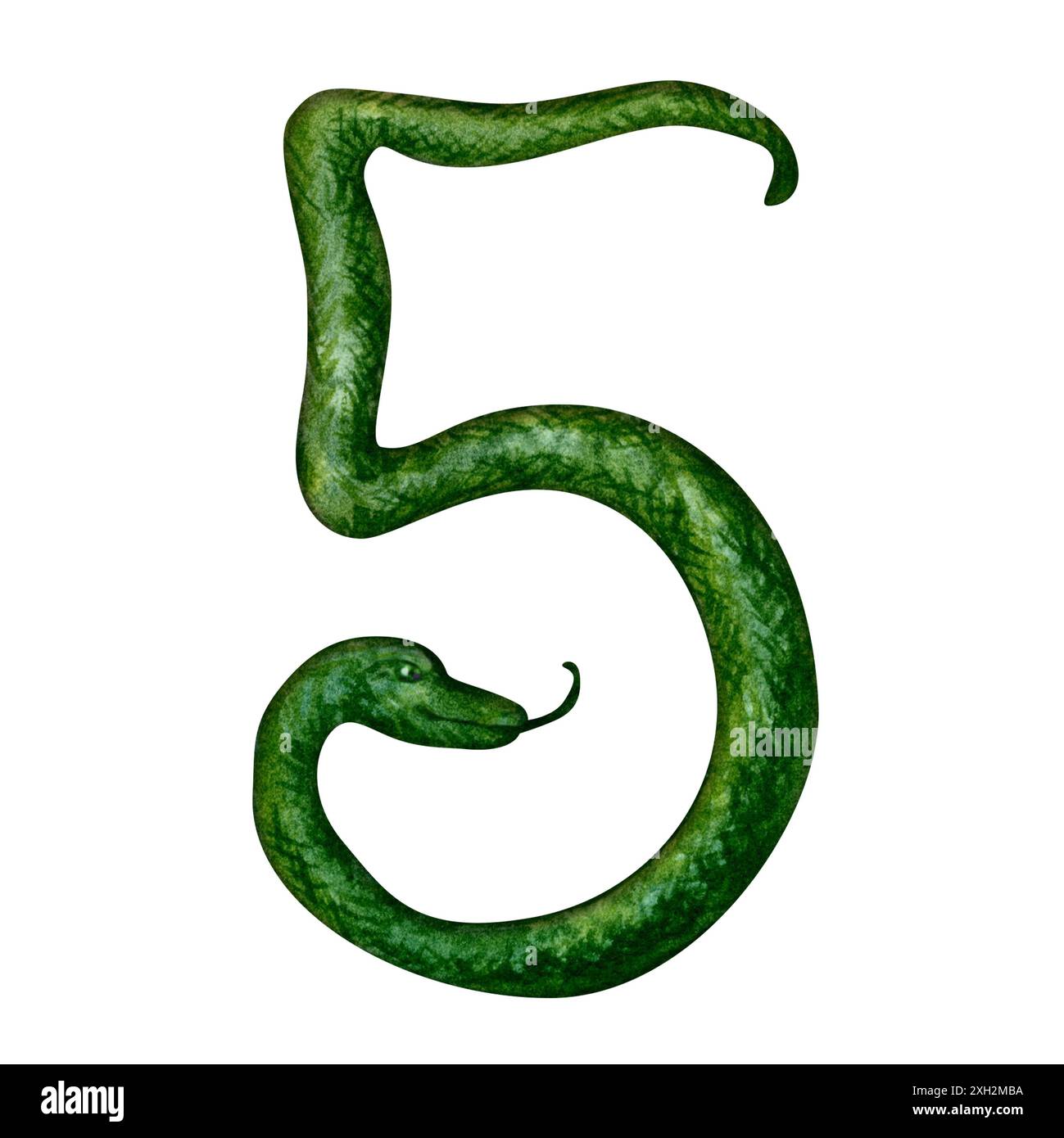 Numero cinque sotto forma di serpente verde come simbolo del felice Capodanno cinese 2025 secondo il segno zodiacale dell'anno del serpente. Acquerello Foto Stock