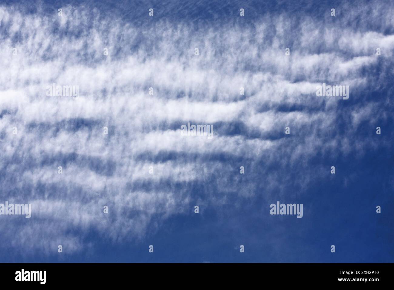 Schema nuvoloso di Altocumulus stratiformis nel cielo estivo blu Foto Stock