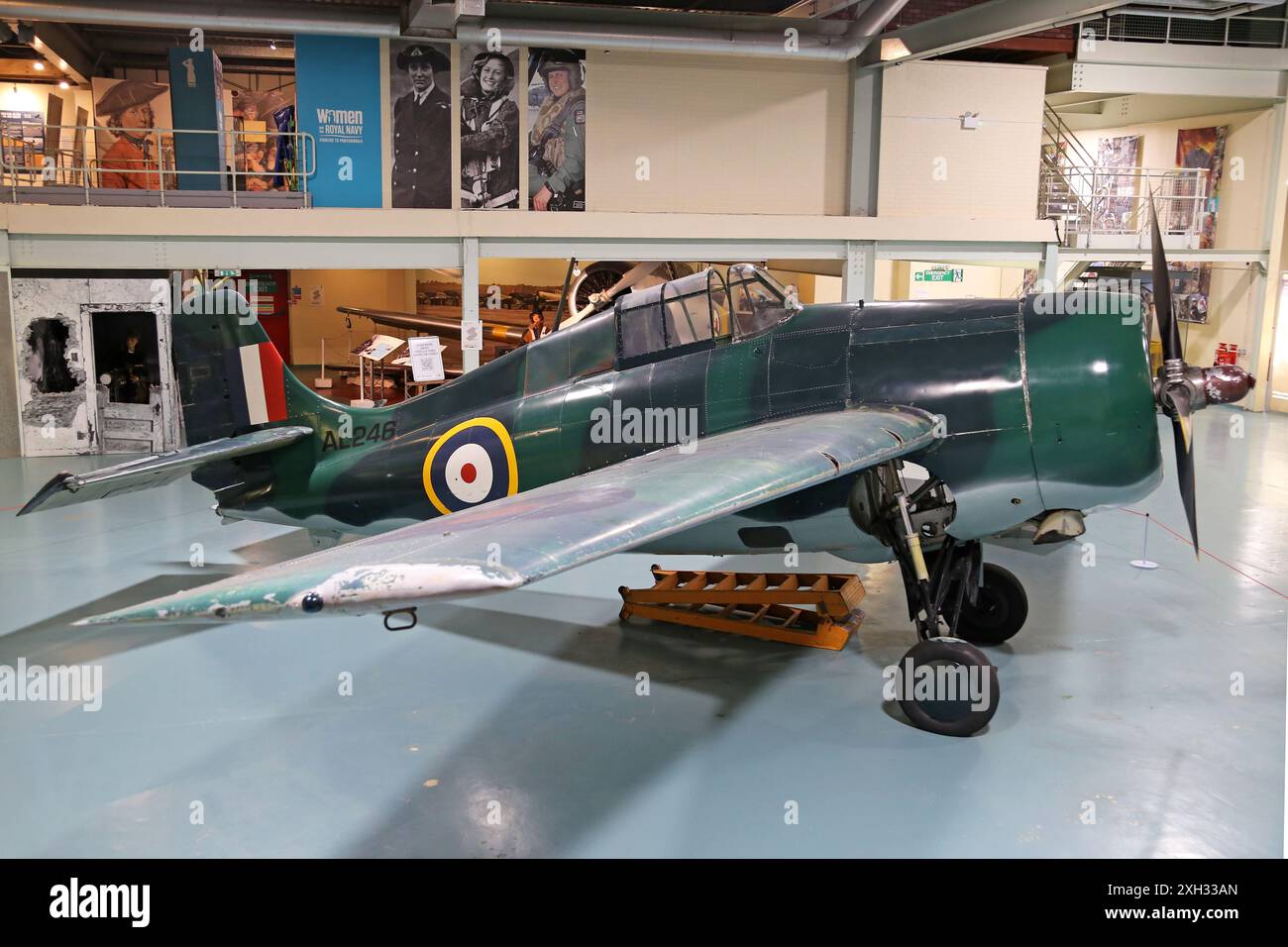 Grumman Martlet Mk1, Hall 2, Royal Navy Fleet Air Arm Museum, RNAS Yeovilton, Ilchester, Somerset, Inghilterra, gran Bretagna, Regno Unito, Europa Foto Stock