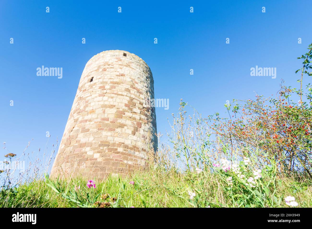 Warburg: Monte Desenberg e castello, paesaggio Warburger Börde a Teutoburger Wald, Nordrhein-Westfalen, Renania settentrionale-Vestfalia, Germania Foto Stock