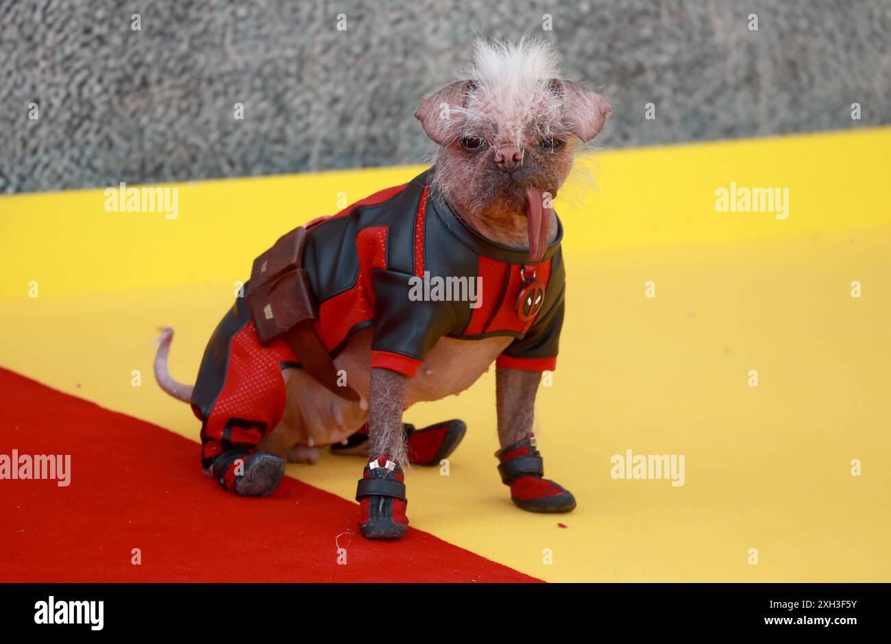 Londra, Regno Unito. 11 luglio 2024. Peggy partecipa al "Deadpool & Wolverine" UK fan Event all'Eventim Apollo di Londra. Credito: SOPA Images Limited/Alamy Live News Foto Stock
