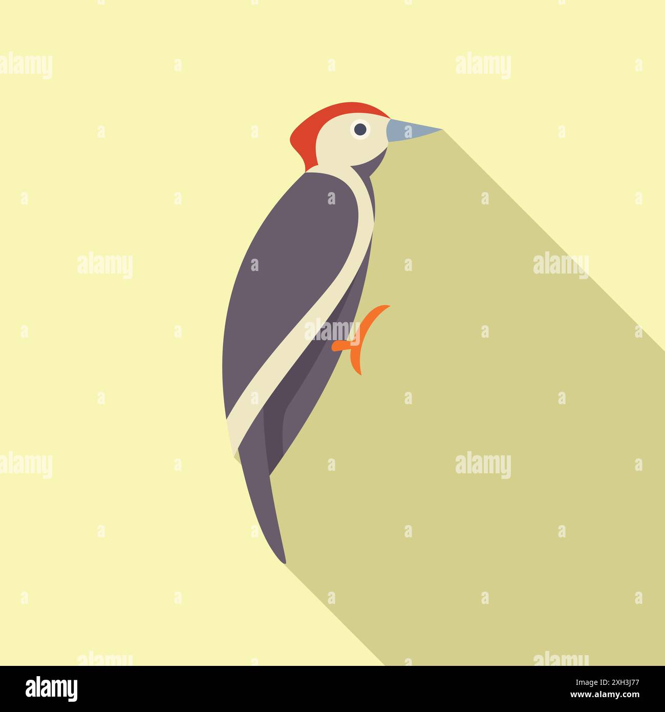 Picchio appollaiato sul ramo con una lunga ombra Illustrazione Vettoriale