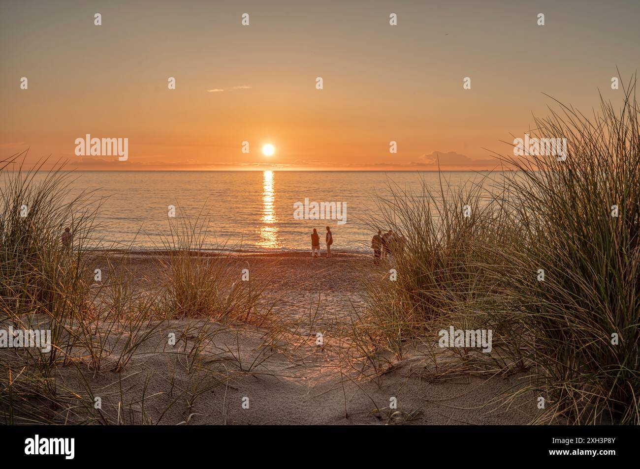 Persone in piedi sulla spiaggia che guardano il tramonto in mare e dune con il ryegrass in primo piano, Skagen, Danimarca, 30 maggio 2024 Foto Stock