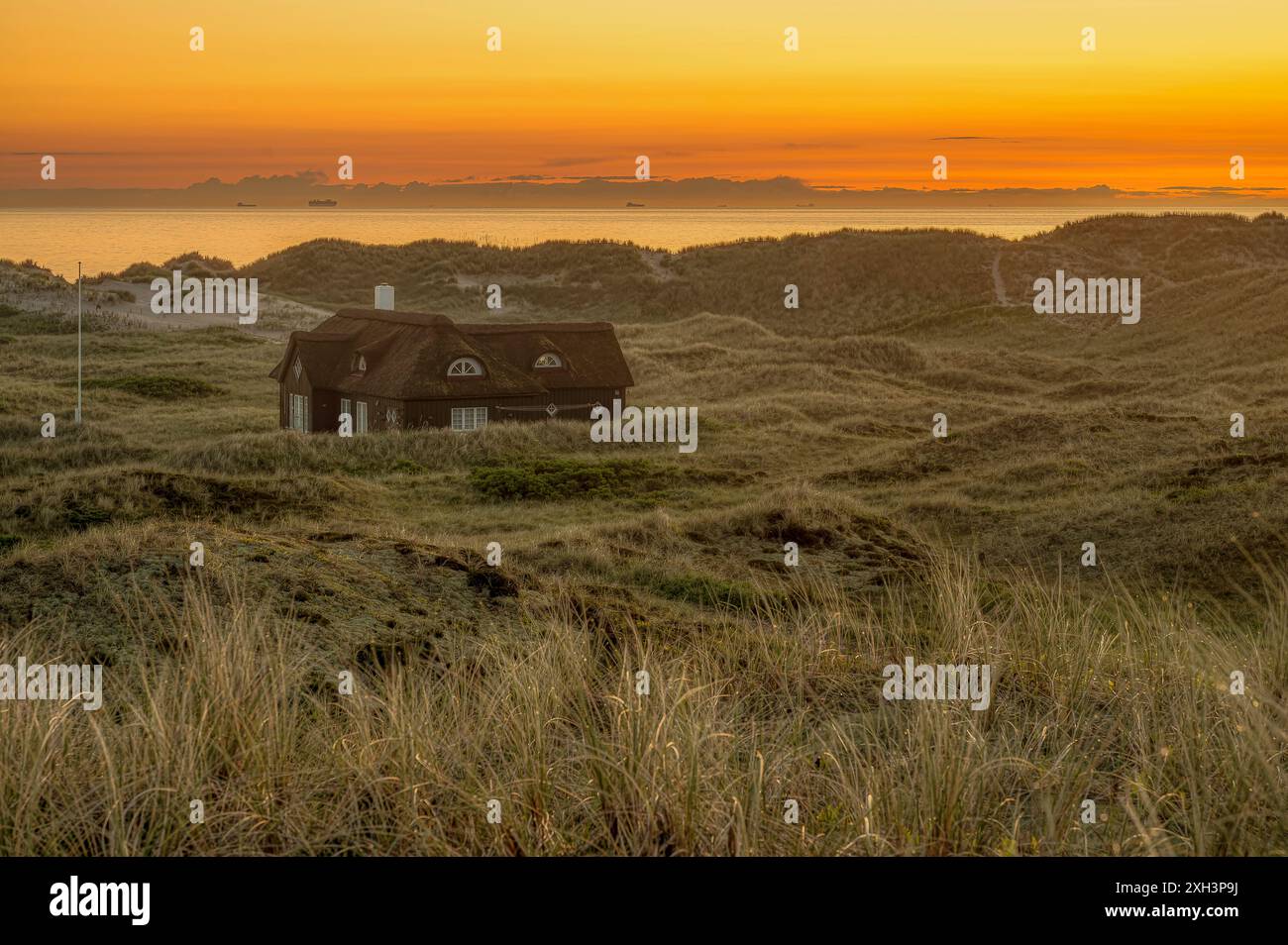 Vecchia casa solitaria di paglia tra le dune durante l'ora del crepuscolo con erba di segale in primo piano , Skagen, Danimarca, 30 maggio 2024 Foto Stock