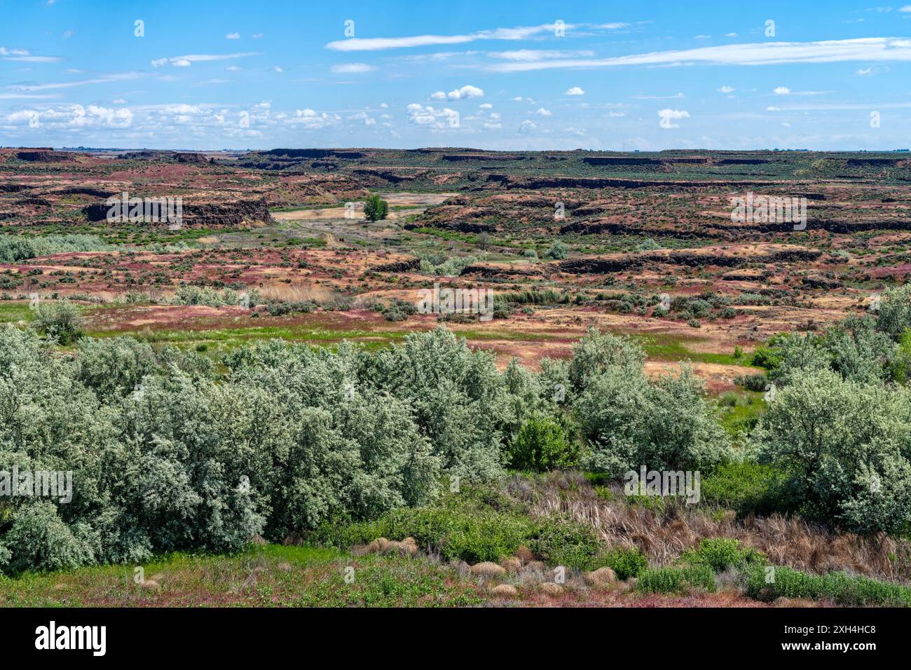 Landscape of the Drumheller Channels Natural Landmark vicino a Othello, Washington, USA Foto Stock