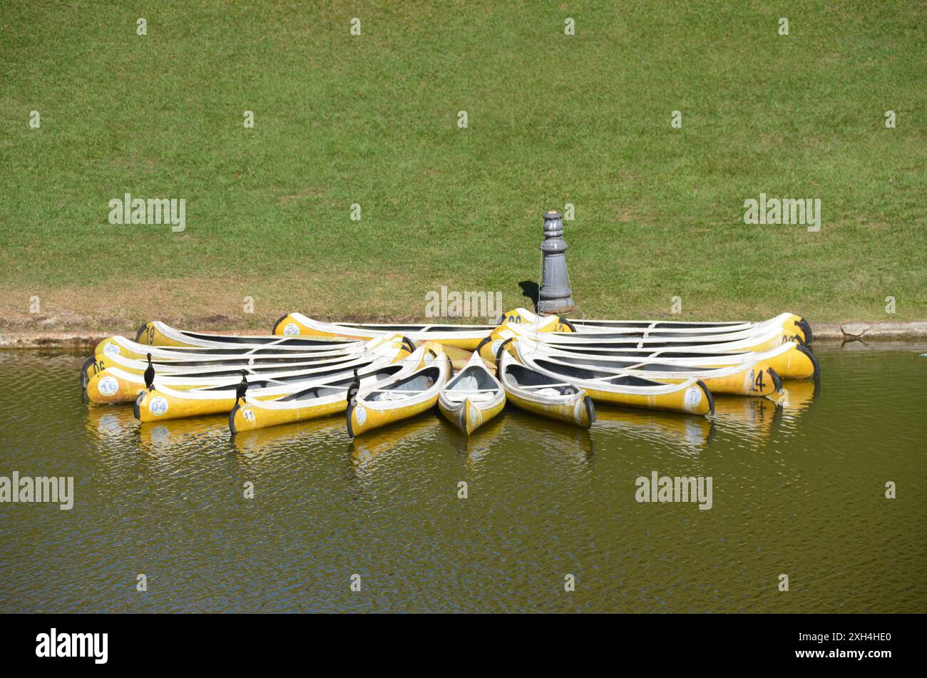 Canoa o kayak in acqua a Quinta da Boa Vista a Rio de Janeiro, Brasile. Foto Stock