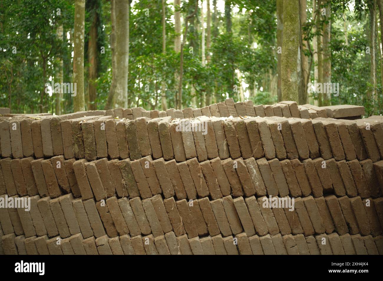 Una pila di blocchi di pavimentazione in mattoni con lo sfondo di una foresta tropicale Foto Stock