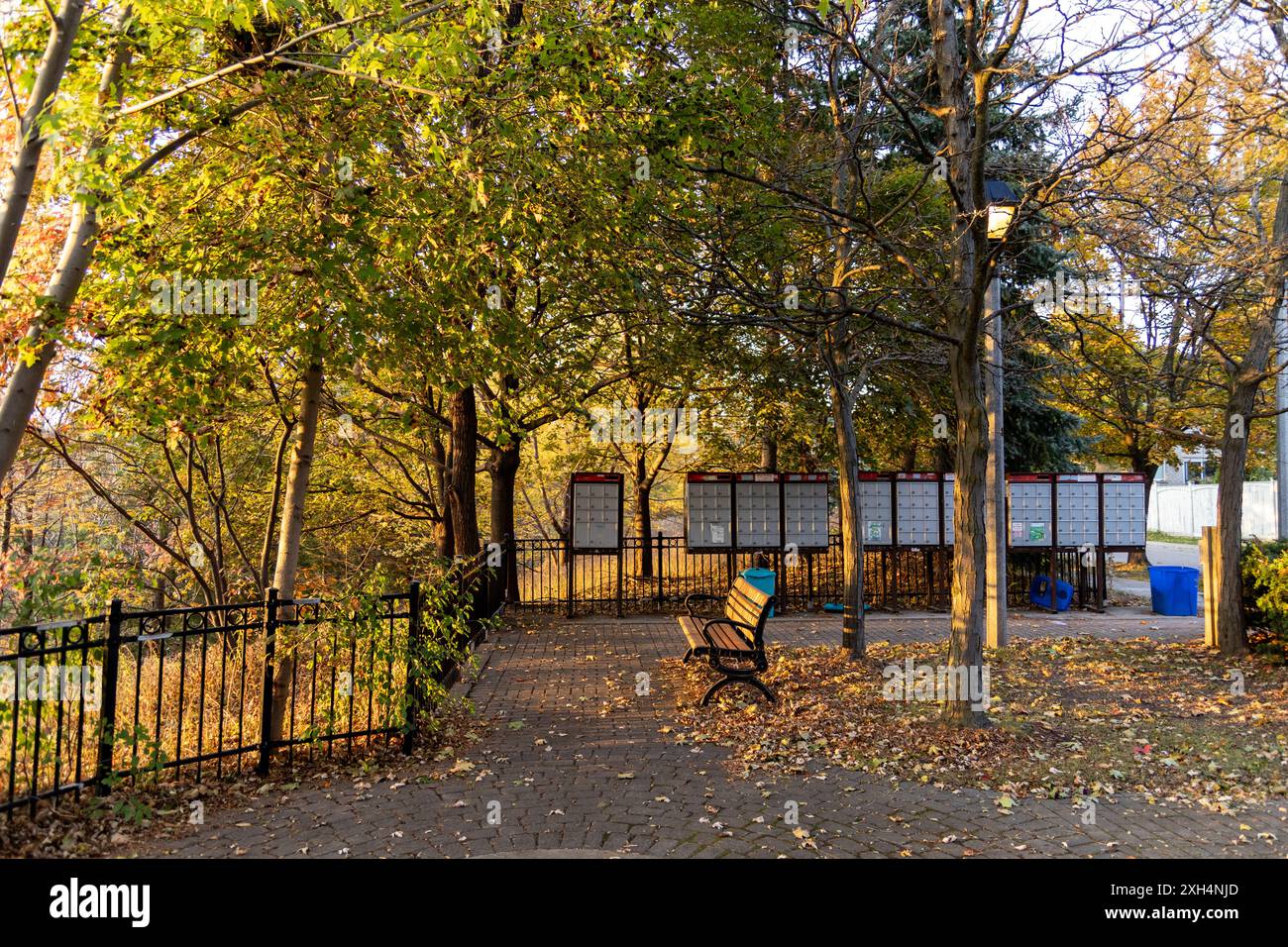 Parco autunnale - fogliame vivace - panca vuota - passerella pavimentata - tranquillo spazio verde urbano - cassette postali sullo sfondo. Presa a Toronto, Canada. Foto Stock