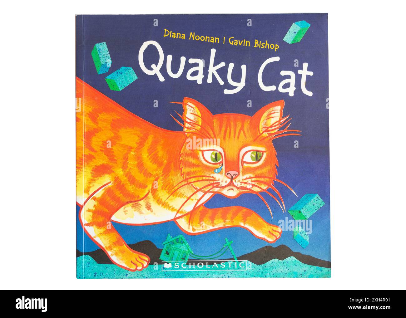 Quaky Cat Book, Christchurch (Ōtautahi), Canterbury, nuova Zelanda Foto Stock