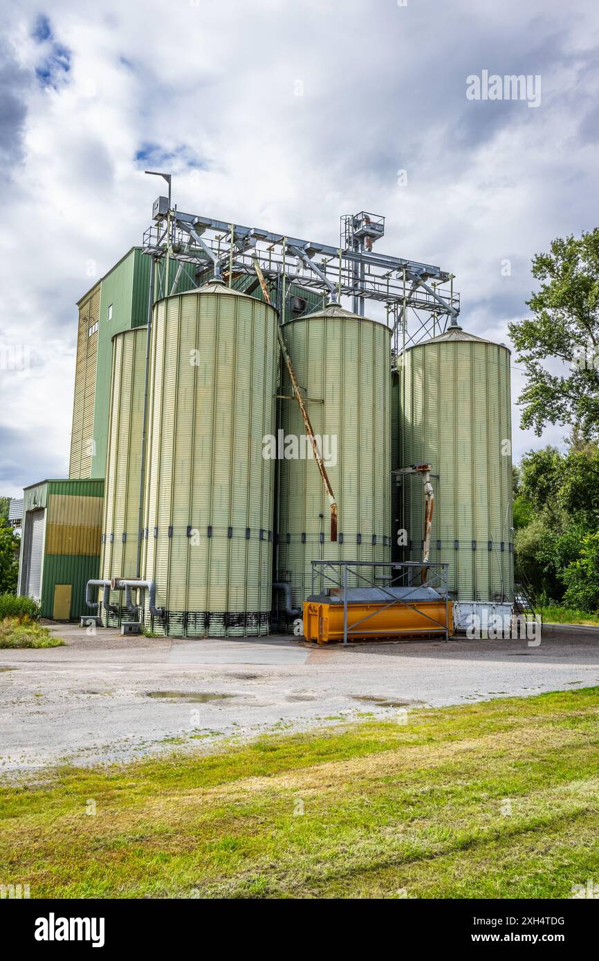 Silos di cereali con linea di pulizia dei semi in impianti di produzione agroalimentare per la lavorazione, l'essiccazione, la pulizia e lo stoccaggio di prodotti agricoli Foto Stock