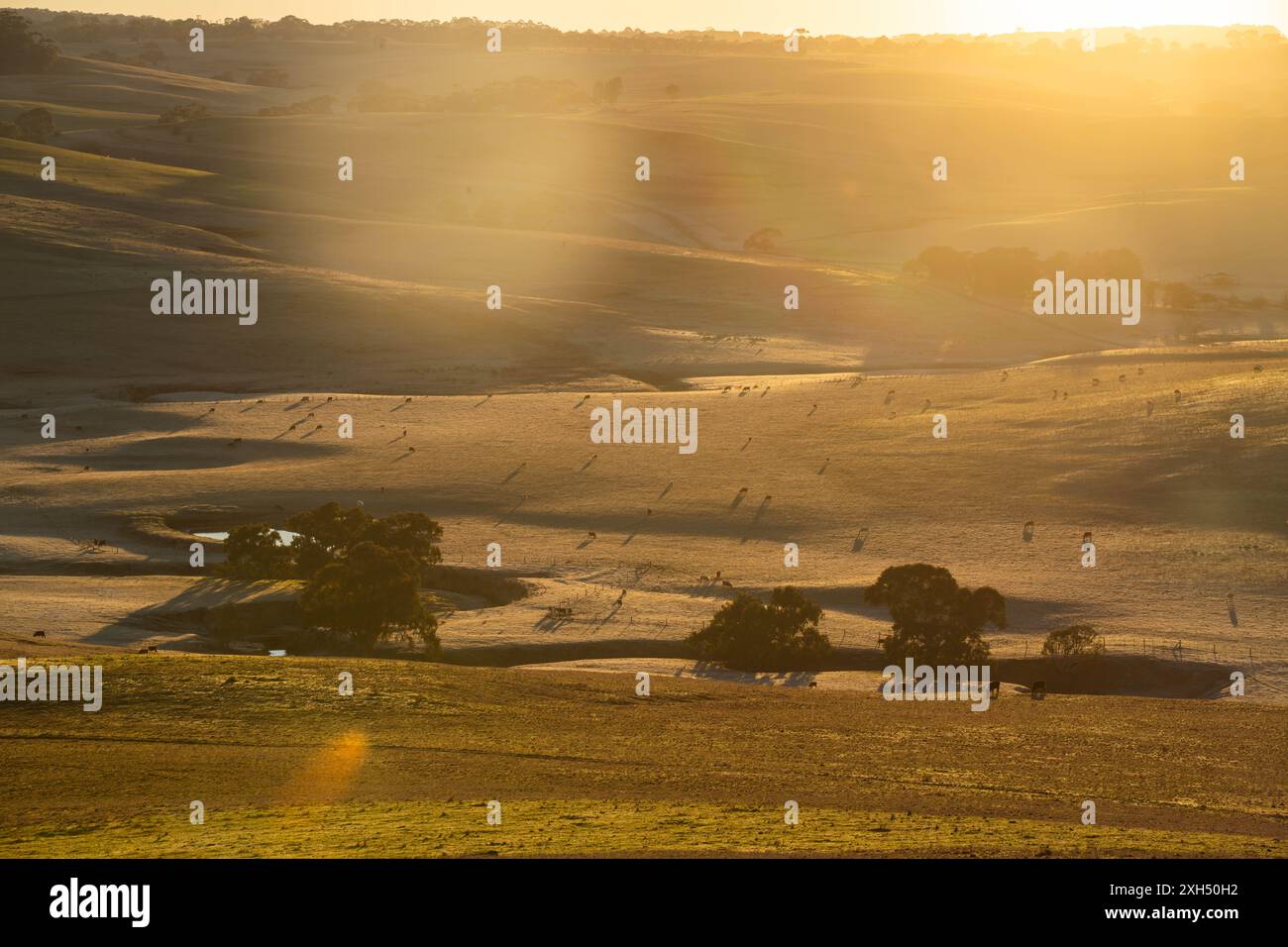 Pratiche agricole sostenibili: Migliorare gli ecosistemi, i mezzi di sussistenza e la resilienza attraverso approcci olistici e neutri dal carbonio Foto Stock