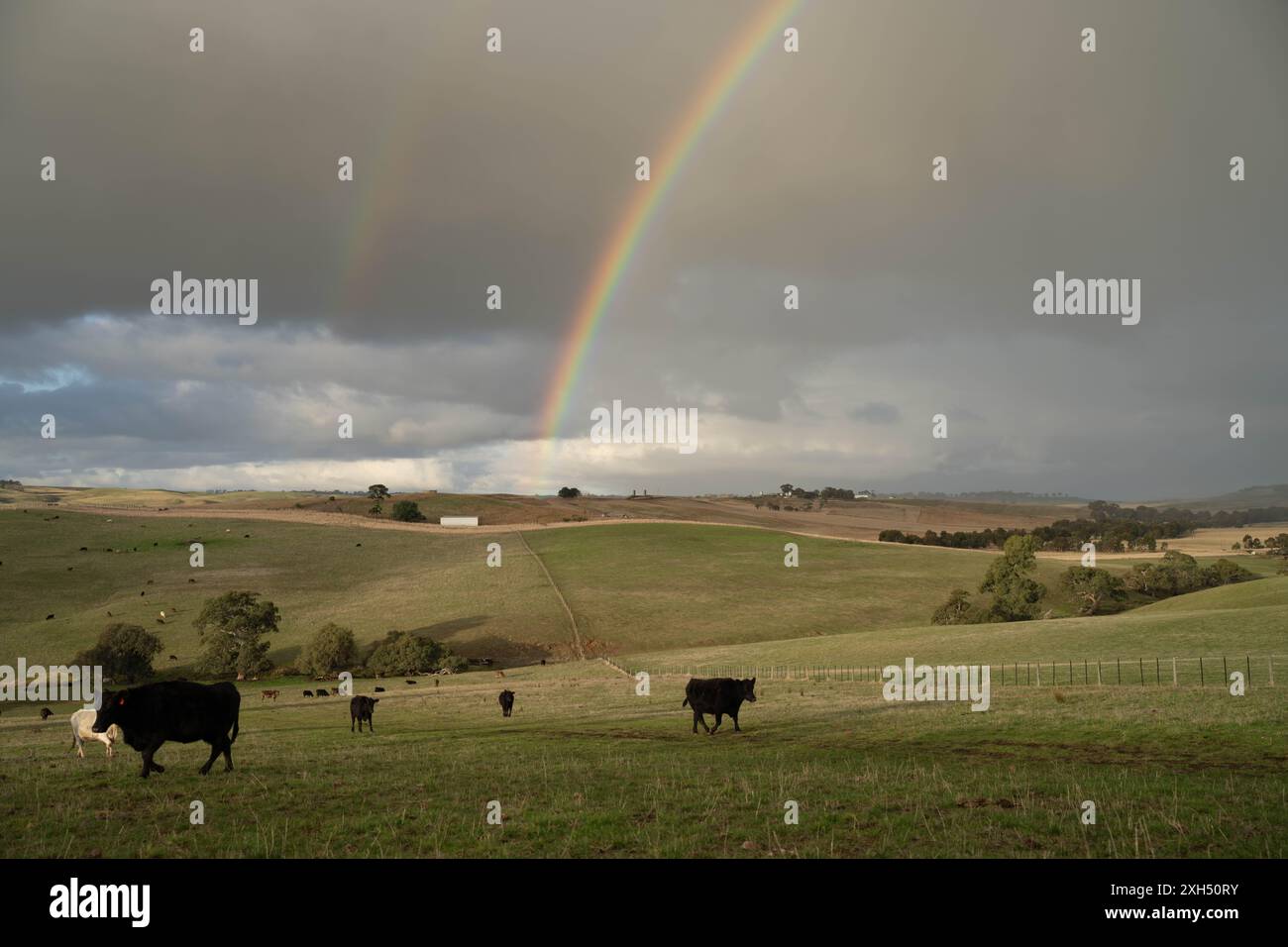 Pratiche agricole sostenibili: Migliorare gli ecosistemi, i mezzi di sussistenza e la resilienza attraverso approcci olistici e neutri dal carbonio Foto Stock