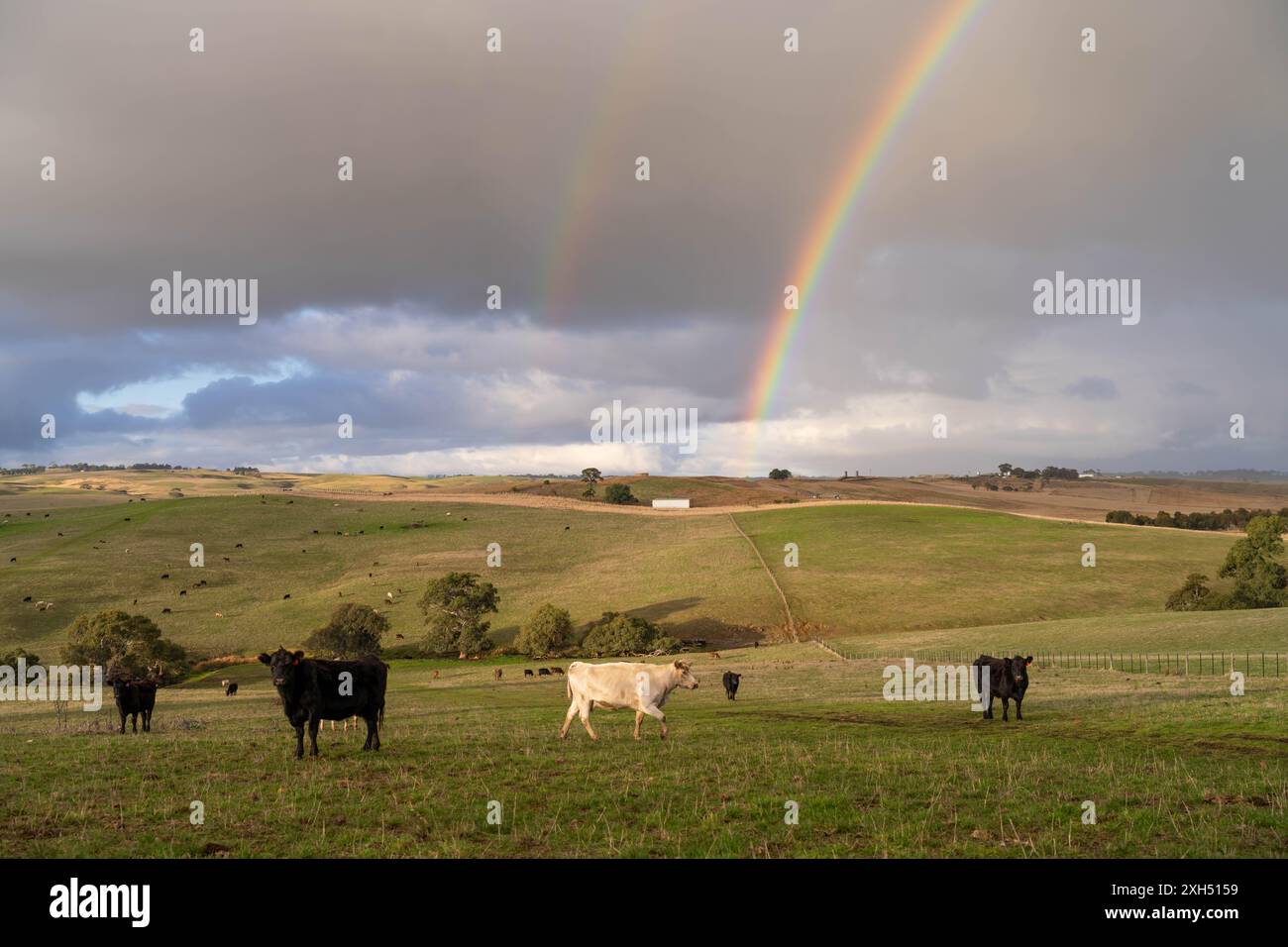 Pratiche agricole sostenibili: Migliorare gli ecosistemi, i mezzi di sussistenza e la resilienza attraverso approcci olistici e neutri dal carbonio Foto Stock