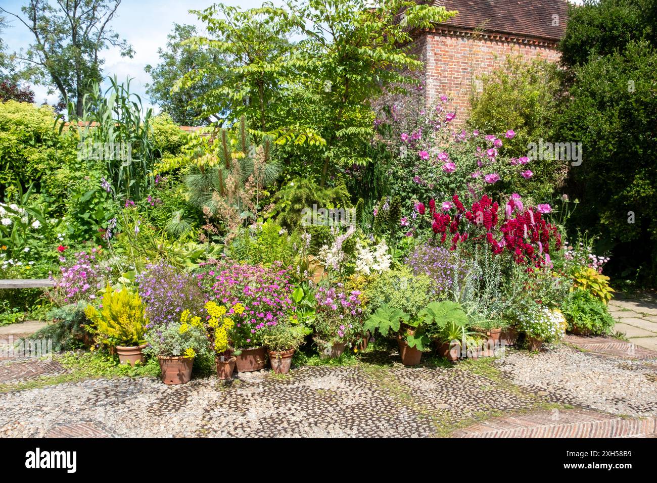 Grande Dixter Foto Stock