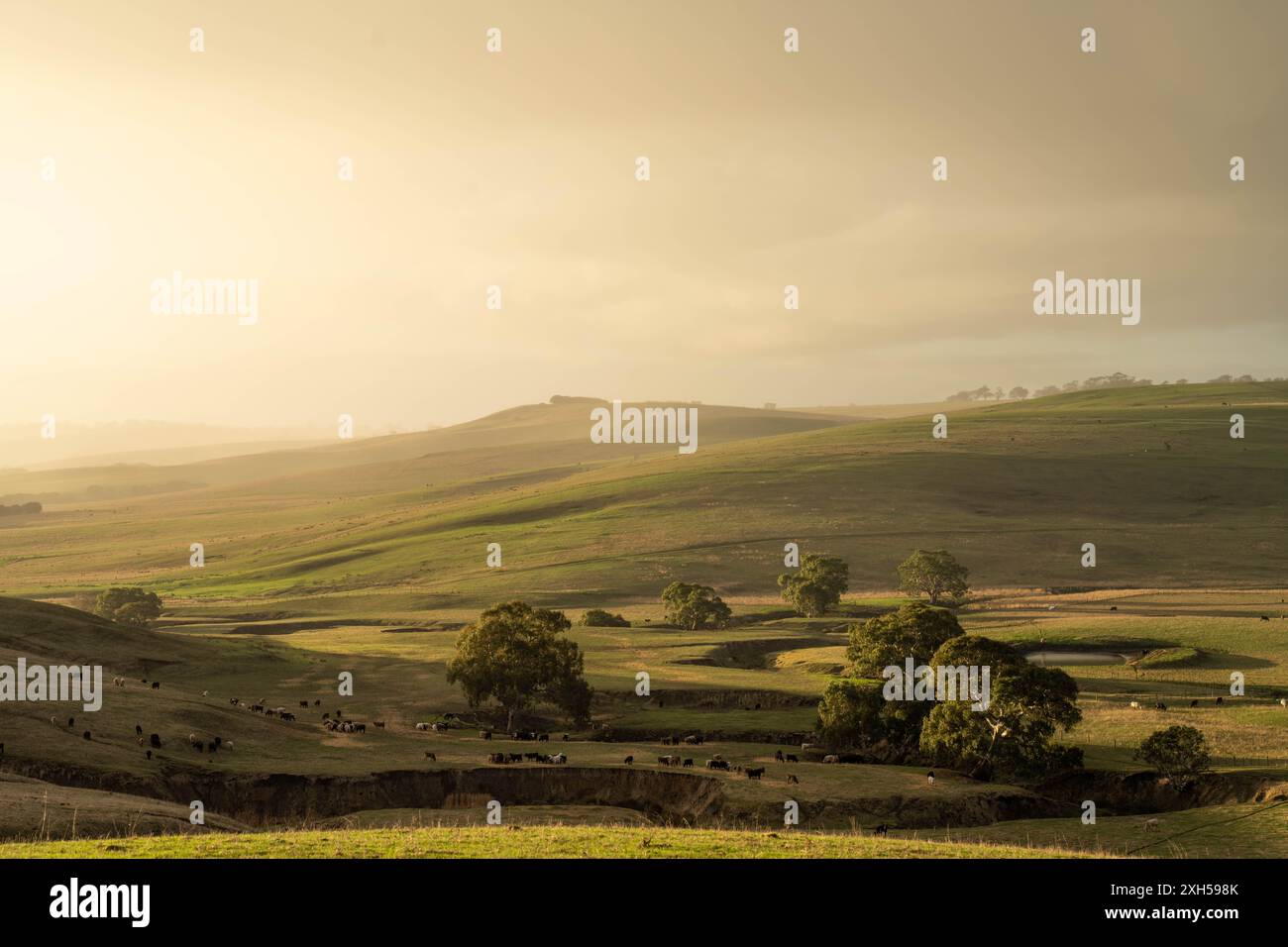Pratiche agricole sostenibili: Migliorare gli ecosistemi, i mezzi di sussistenza e la resilienza attraverso approcci olistici e neutri dal carbonio Foto Stock