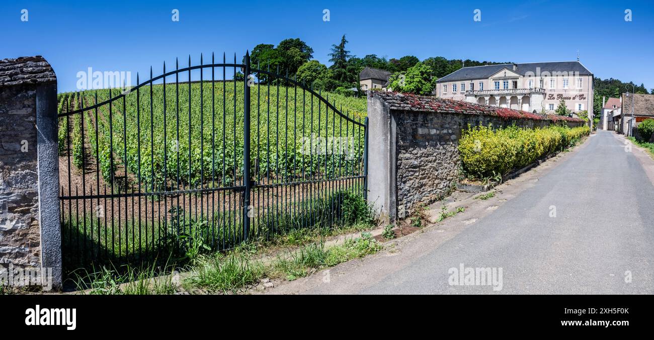 La storica azienda vitivinicola di Domaine de la Pousse d'Or, Volnay, Borgogna, Francia. Foto Stock