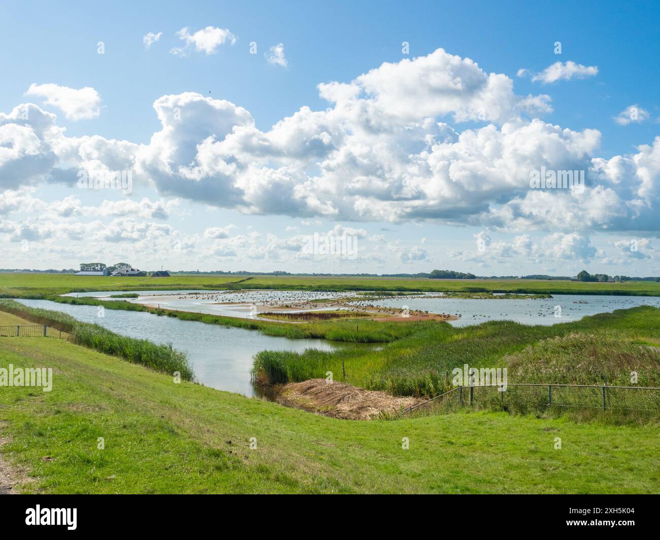 Groninga, Paesi Bassi - 9 agosto 2023: Zona costiera parzialmente allagata del Mare del Nord, vista da una diga Foto Stock