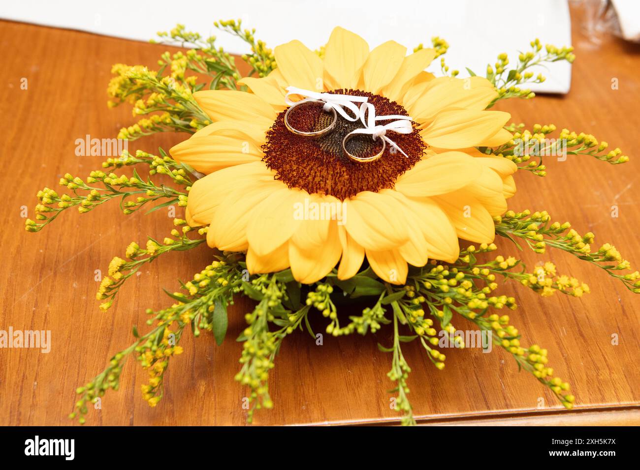 Fedi nuziali legate con nastro bianco adagiato su girasole decorate con gypsophila paniculata su un tavolo di legno Foto Stock